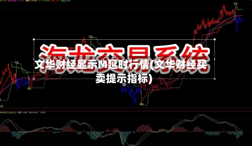 文华财经显示M延时行情(文华财经买卖提示指标)