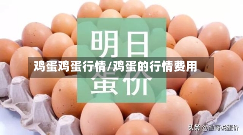 鸡蛋鸡蛋行情/鸡蛋的行情费用-第2张图片