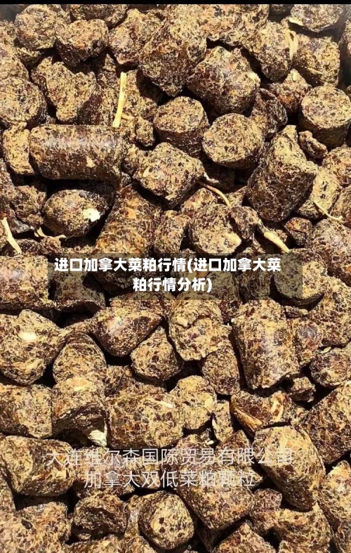 进口加拿大菜粕行情(进口加拿大菜粕行情分析)-第2张图片