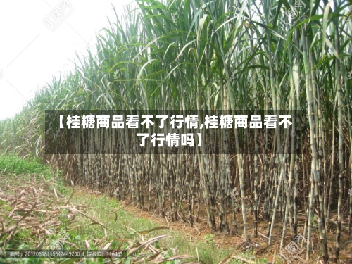 【桂糖商品看不了行情,桂糖商品看不了行情吗】-第2张图片