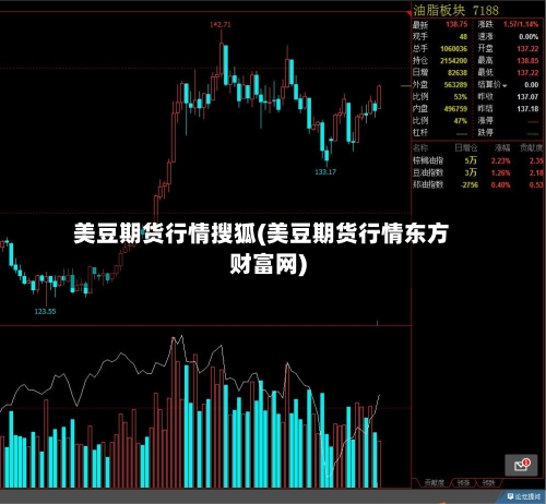 美豆期货行情搜狐(美豆期货行情东方财富网)-第2张图片