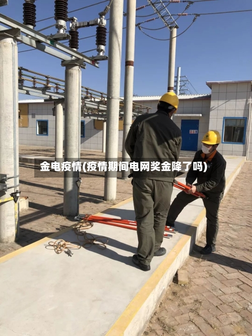 金电疫情(疫情期间电网奖金降了吗)