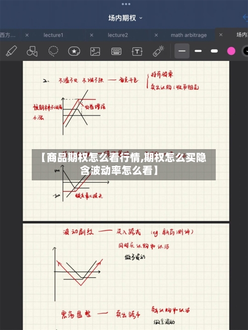 【商品期权怎么看行情,期权怎么买隐含波动率怎么看】-第2张图片