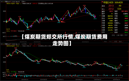 【煤炭期货郑交所行情,煤炭期货费用走势图】-第3张图片