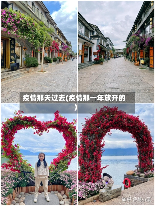 疫情那天过去(疫情那一年放开的)