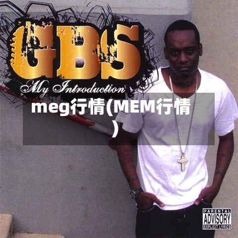 meg行情(MEM行情)