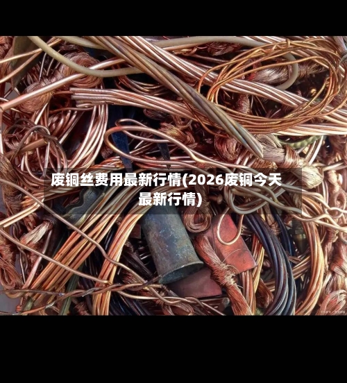 废铜丝费用最新行情(2026废铜今天最新行情)