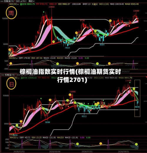 棕榈油指数实时行情(棕榈油期货实时行情2701)-第3张图片