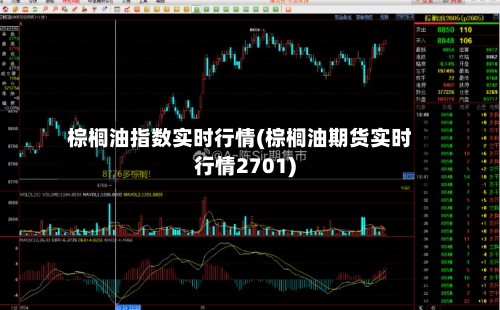 棕榈油指数实时行情(棕榈油期货实时行情2701)