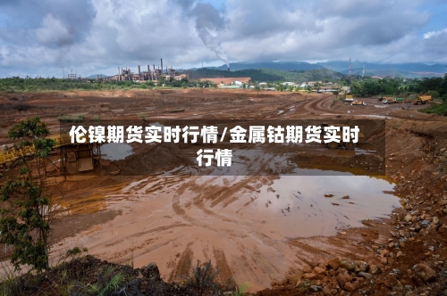 伦镍期货实时行情/金属钴期货实时行情-第3张图片