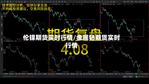 伦镍期货实时行情/金属钴期货实时行情-第2张图片