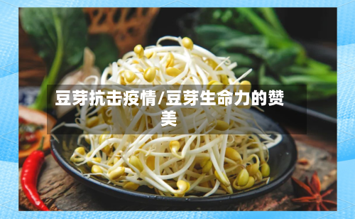 豆芽抗击疫情/豆芽生命力的赞美
