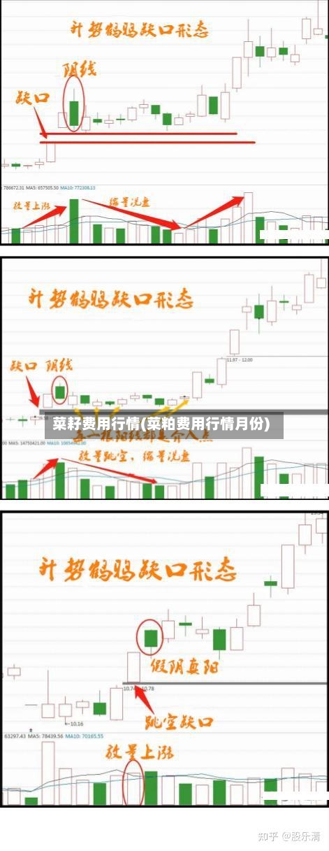 菜耔费用行情(菜粕费用行情月份)