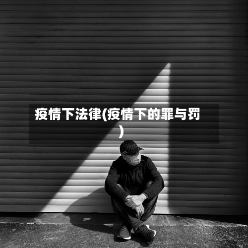 疫情下法律(疫情下的罪与罚)-第2张图片