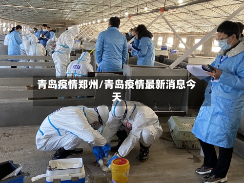 青岛疫情郑州/青岛疫情最新消息今天