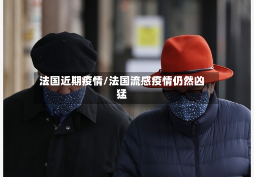 法国近期疫情/法国流感疫情仍然凶猛-第2张图片