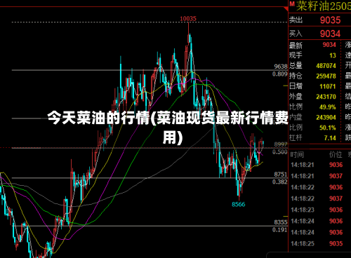 今天菜油的行情(菜油现货最新行情费用)-第3张图片