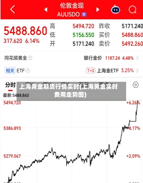 上海黄金期货行情实时(上海黄金实时费用走势图)