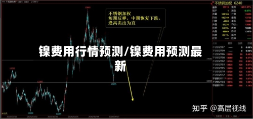 镍费用行情预测/镍费用预测最新-第2张图片