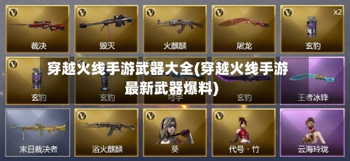 穿越火线手游武器大全(穿越火线手游最新武器爆料)-第2张图片
