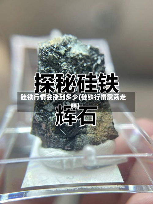 硅铁行情会涨到多少(硅铁行情震荡走弱)-第2张图片