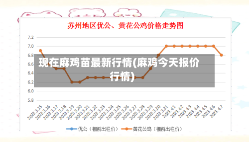 现在麻鸡苗最新行情(麻鸡今天报价行情)-第3张图片
