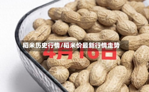 稻米历史行情/稻米价最新行情走势-第3张图片