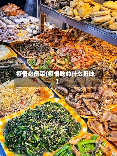 疫情必备菜(疫情吃的什么野味)