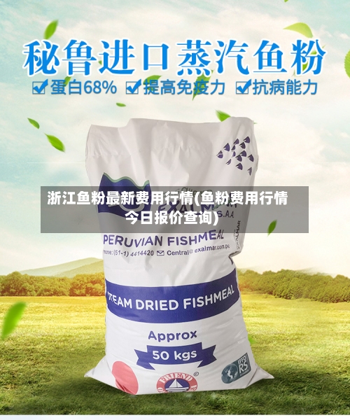 浙江鱼粉最新费用行情(鱼粉费用行情今日报价查询)-第2张图片