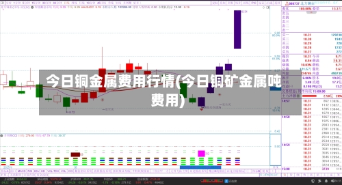 今日铜金属费用行情(今日铜矿金属吨费用)