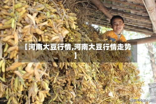 【河南大豆行情,河南大豆行情走势】-第2张图片