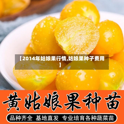 【2014年姑娘果行情,姑娘果种子费用】