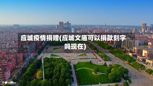 应城疫情捐赠(应城文庙可以捐款刻字吗现在)-第3张图片