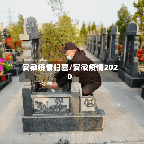 安徽疫情扫墓/安徽疫情2020-第3张图片