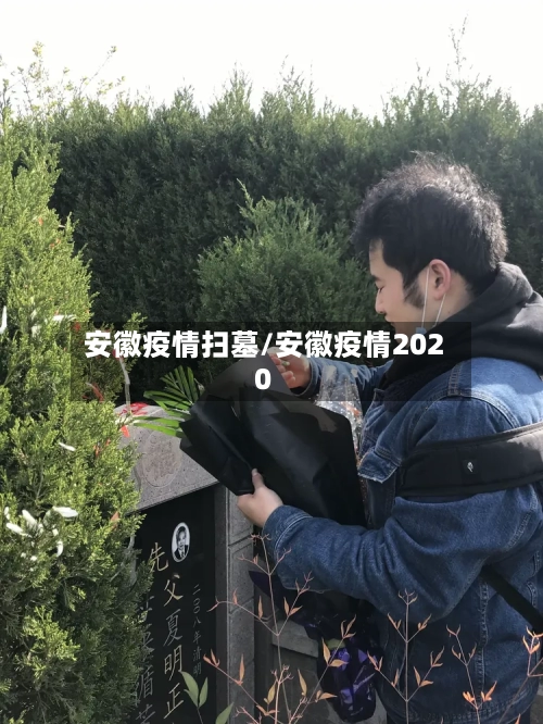 安徽疫情扫墓/安徽疫情2020