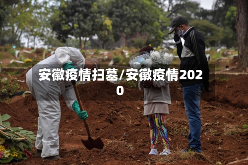 安徽疫情扫墓/安徽疫情2020-第2张图片