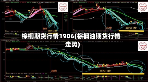棕榈期货行情1906(棕榈油期货行情走势)