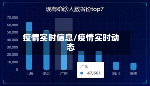 疫情实时信息/疫情实时动态
