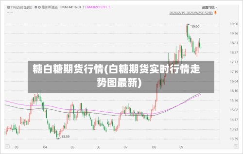 糖白糖期货行情(白糖期货实时行情走势图最新)