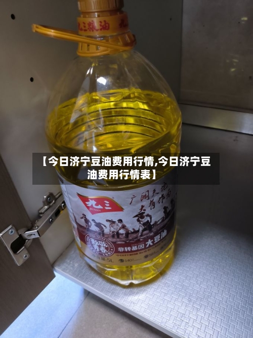 【今日济宁豆油费用行情,今日济宁豆油费用行情表】