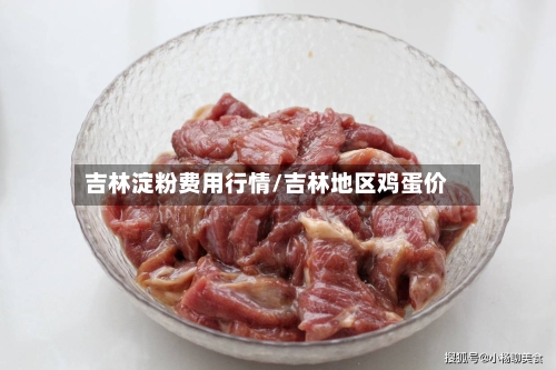 吉林淀粉费用行情/吉林地区鸡蛋价-第2张图片