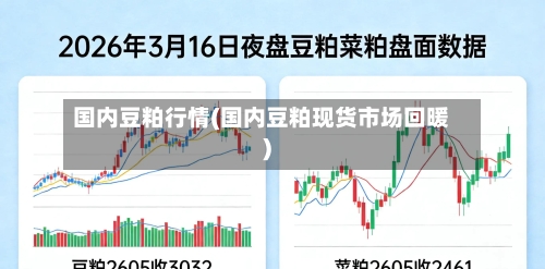 国内豆粕行情(国内豆粕现货市场回暖)