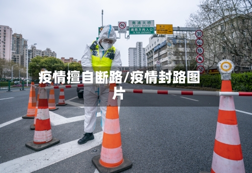 疫情擅自断路/疫情封路图片