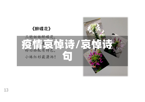 疫情哀悼诗/哀悼诗句-第3张图片