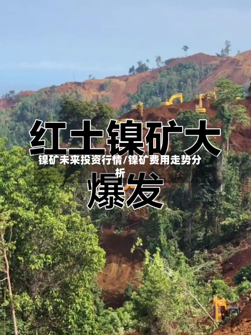 镍矿未来投资行情/镍矿费用走势分析-第2张图片