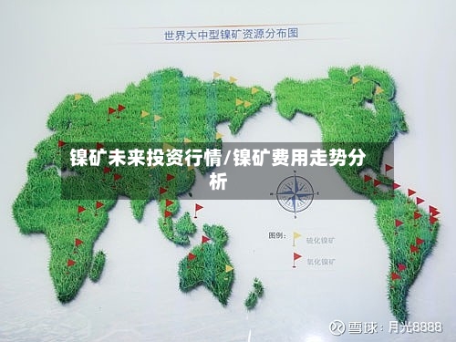 镍矿未来投资行情/镍矿费用走势分析