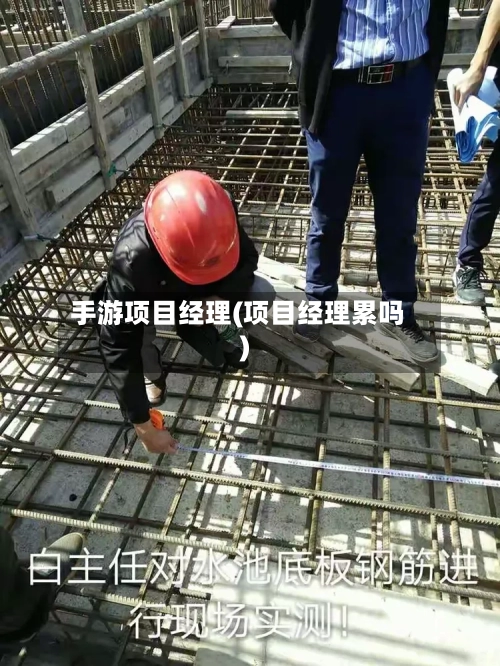手游项目经理(项目经理累吗)