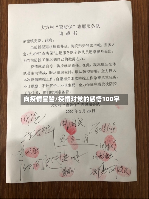 向疫情宣誓/疫情对党的感悟100字-第3张图片