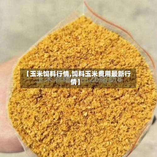 【玉米饲料行情,饲料玉米费用最新行情】