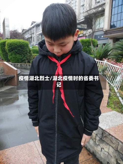 疫情湖北烈士/湖北疫情时的省委书记-第2张图片